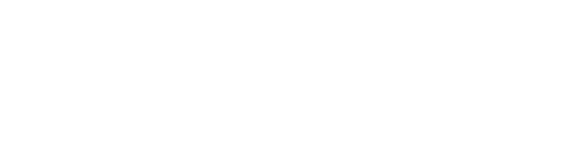 Boxwood Insurance Group 5 Years - Logo 800 White